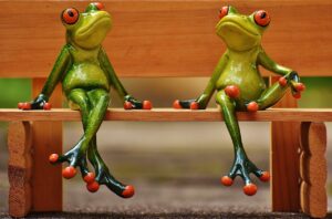 friends, to sit, frogs-1610339.jpg
